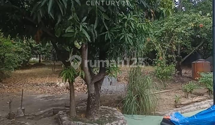 Land and Buildings in Sumber Kemantren, Cirebon