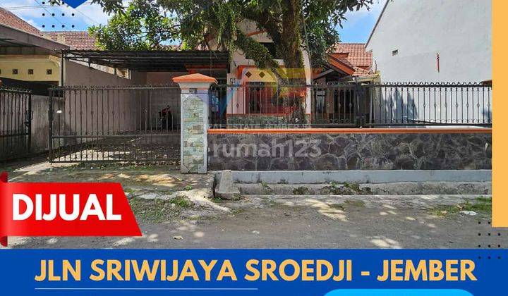 RUMAH LUAS DEKAT UNIV SROEDJI SUMBERSARI JEMBER 1