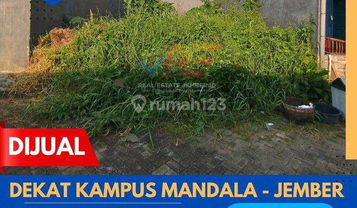 TANAH DEKAT KAMPUS MANDALA JEMBER 1