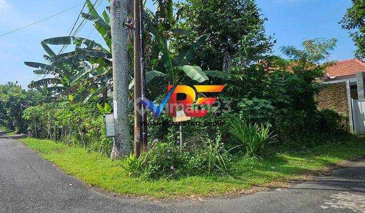 TANAH POSISI POJOK DI JLN IKAN PAUS - SAMPING ROXY JEMBER 2