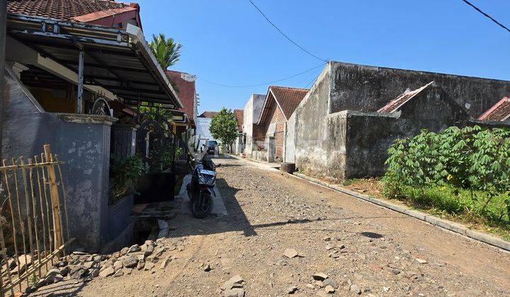 TANAH DEKAT KAMPUS UNEJ JLN MASTRIP PUSAT KAMPUS JEMBER 2