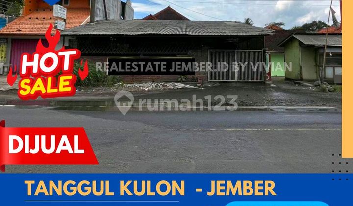 Main Road House, Tanggul Kulon, Jember 1