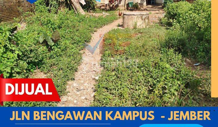 TANAH DEKAT DPR DAN KAMPUS JEMBER