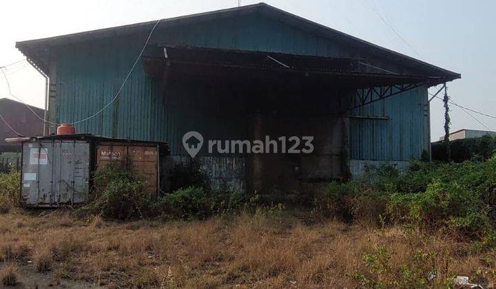 Gudang Bagus Area Kapuk Kamal Raya Jakarta Utara 1