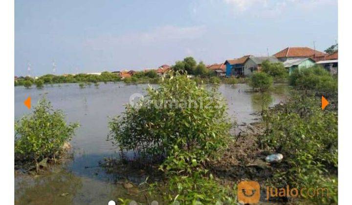Tanah Empang dan Sawah bekas tambak garam di Indramayu  5