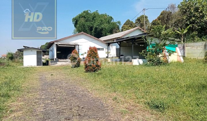 Tanah Kebun Ex Kandang Sapi di Pakuhaji Pasirhalang Cisarua Kbb