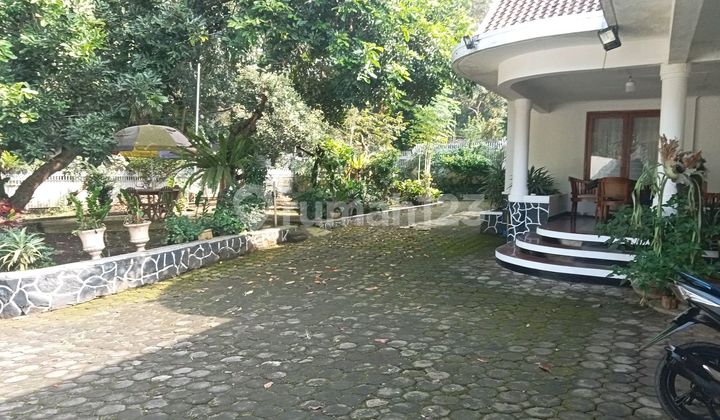 Rumah Klasik di Sukajadi Halaman Luas Siap Huni Rumah Klasik di Sukajadi Halaman Luas Siap Huni