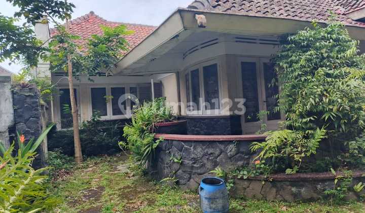 Rumah Klasik Strategis Luas Mainroad Cipaganti Bandung Rumah Klasik Strategis Luas Mainroad Cipaganti Bandung