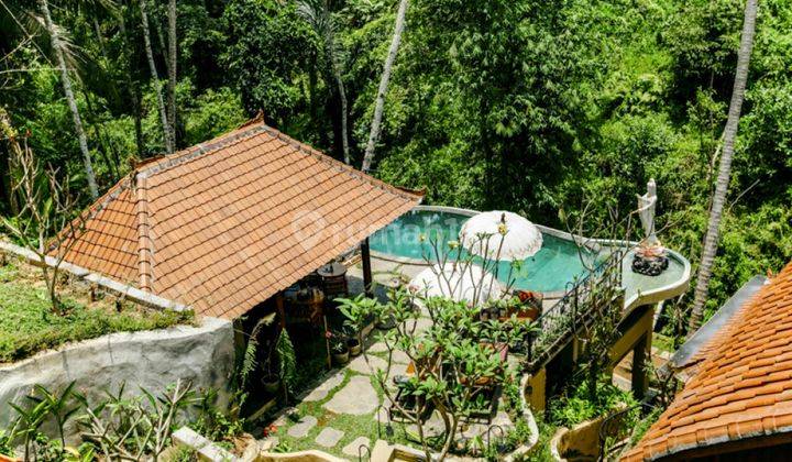 Luxury Boutique Hotel In Traditional Balinese Lumbung  In Ubud Vl2279