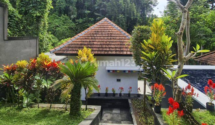 Comfortable Freehold Riverfront Villa In Tabanan Vl2284 5