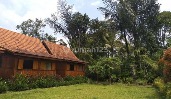 Freehold Wooden House With Amazing View In Gianyar Vl2721 2