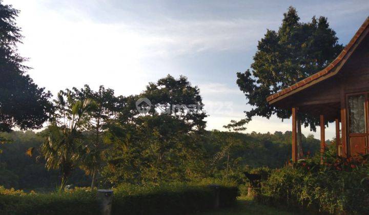Freehold Wooden House With Amazing View In Gianyar Vl2721