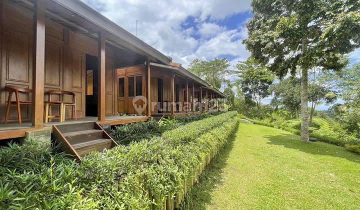 Freehold Wooden House With Amazing View In Gianyar Vl2721 1