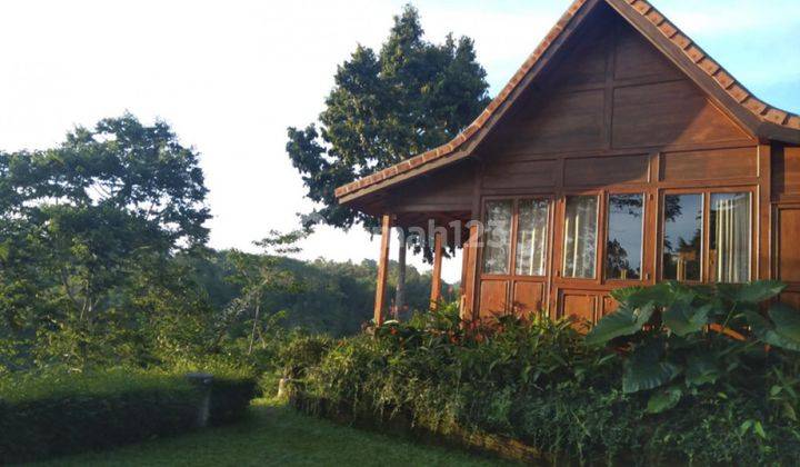 Freehold Wooden House With Amazing View In Gianyar Vl2721