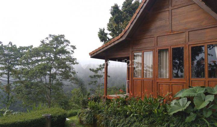 Freehold Wooden House With Amazing View In Gianyar Vl2721