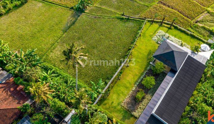 Amazing Ricefields Views Property In Ubud Vl2951 2