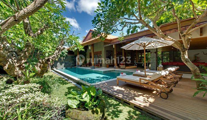 Amazing freehold real estate for sale walking distance to the beach in Seminyak VL0734 2