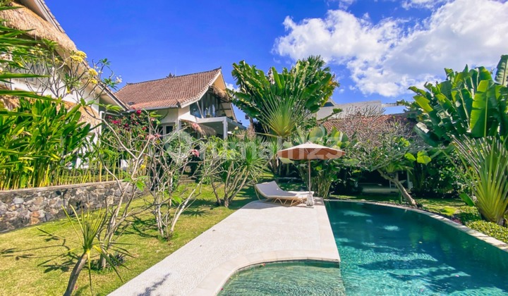 Charming Four Bedrooms Freehold Real Estate in Tiying Tutul VL3323