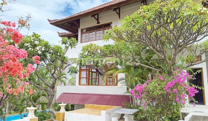 Freehold Six Bedroom Investment Property In Singaraja Lovina VL2932