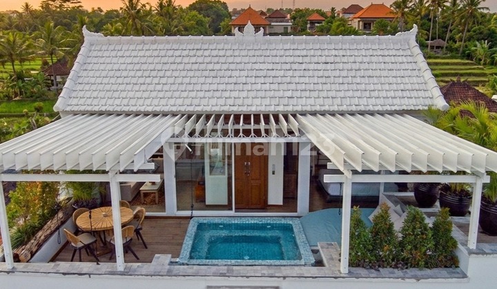 Great One Bedroom Penthouse With Private Pool And Amazing Beach View 2909 2