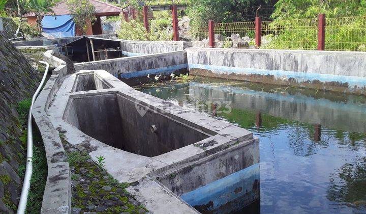 Dijual Rumah + Tanah di Ciloa, Desa Jayabakti, Cidahu Sukabumi Lt 3.830 M2 Ada 3 Bangunan 5