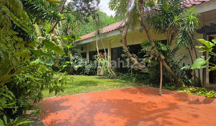 Rumah Luas dan Asri di Jl. Bangka