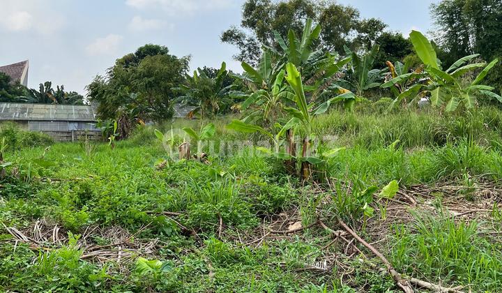 Lahan Luas Cocok untuk Bangun Cluster