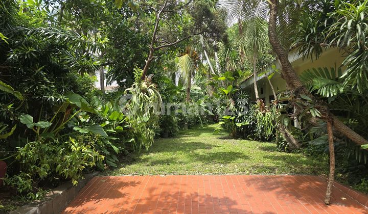 Rumah Luas dan Asri di Jl. Bangka 2