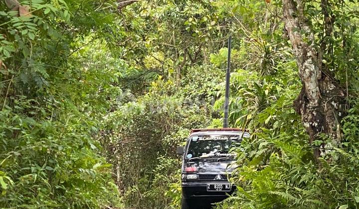 Tanah Satu Hektar Akses Mudah Bebas Banjir di Kawalu Tasikmalaya Harga Masih Nego Tanah Satu Hektar Akses Mudah Bebas Banjir di Kawalu Tasikmalaya Harga Masih Nego