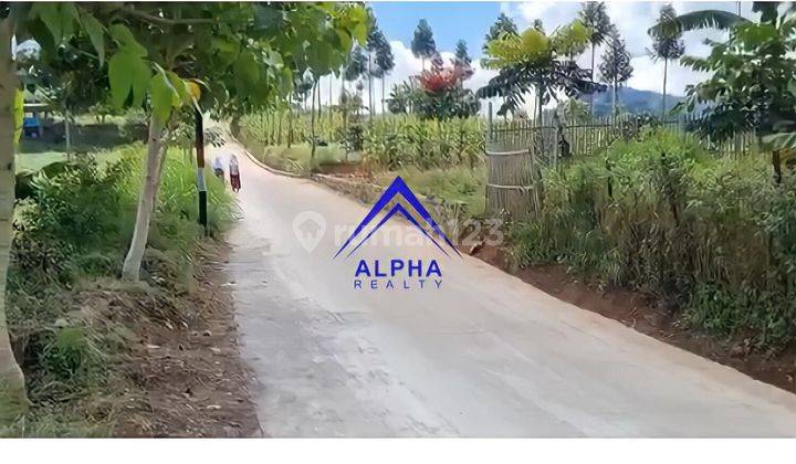 Dijual Tanah Siap Bangun di Pasaduka Bandung Harga Terbaik  1