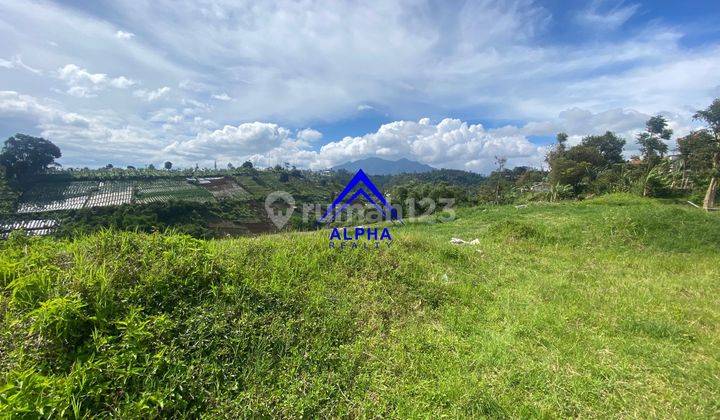Dijual Tanah Kavling Siap Bangun di Cihanjuang Cimahi Utara SHM Dan Imb Lengkap 9