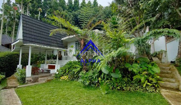 Dijual Rumah Siap Huni di Dago Harga Terbaik  2