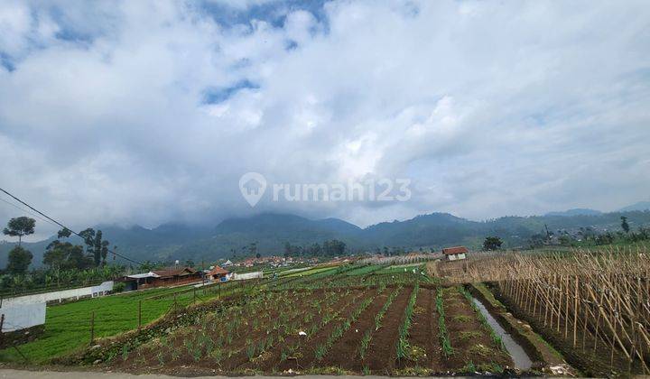 Dijual Tanah Siap Bangun di Ciwidey Bandung Harga Terbaik 2