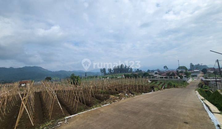 Dijual Tanah Siap Bangun di Ciwidey Bandung Harga Terbaik 1