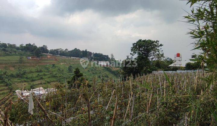 Dijual Tanah Kavling Siap Bangun di Lembang Bandung Harga Terbaik  2