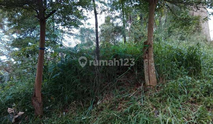 Dijual Tanah Kavling Siap Bangun di Cigadung Bandung Kota Harga Terbaik 2