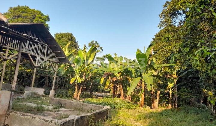 Tanah Luas Lokasi Strategis di Jalancagak Subang Harga Menarik Tanah Luas Lokasi Strategis di Jalancagak Subang Harga Menarik