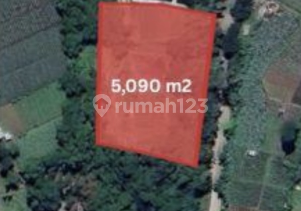 Tanah Luas Lokasi Dekat Kawasan Wisata di Maribaya Lemabang Bandung