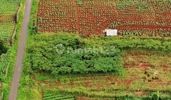 Dijual Tanah di Padasuka Bandung Harga Terbaik 1