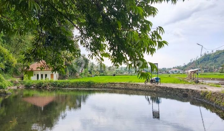 Dijual Tanah Dengan Sumber Mata Air Asli Dari Alam di Leles Garut Harga Nego Sampai Jadi Dijual Tanah Dengan Sumber Mata Air Asli Dari Alam di Leles Garut Harga Nego Sampai Jadi