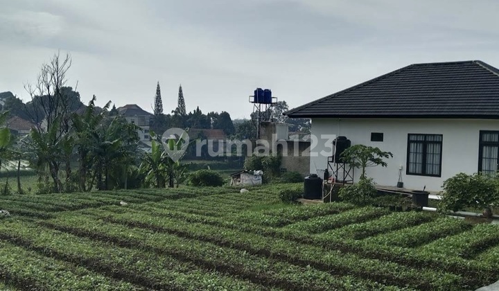 Rumah Siap Huni di Cimahi Utara Harga Terbaik