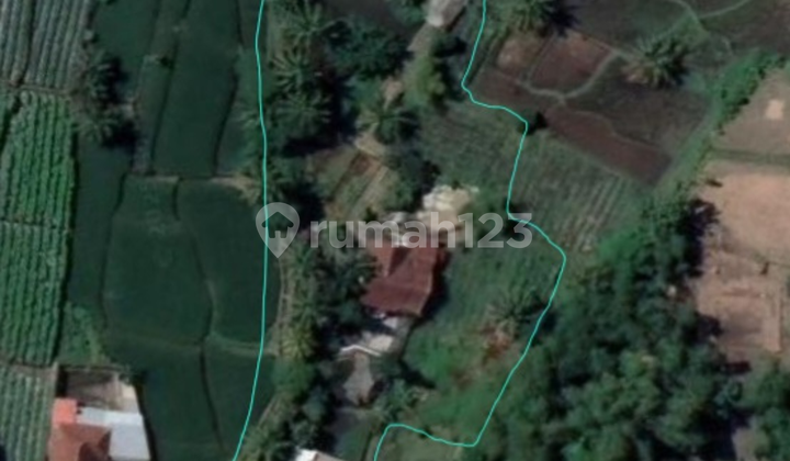 Rumah dengan Kolam Berenang di Cisayong Tasikmalaya Lokasi Asri 2