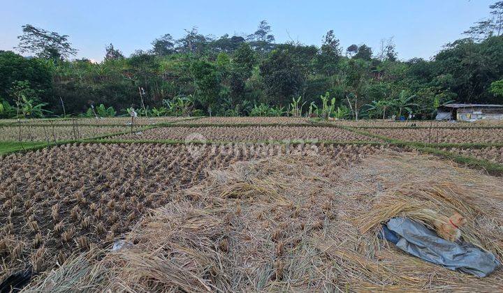 Dijual Tanah Terbaik di Cigadung Bandung Kota Harga Dibawah Pasar 2