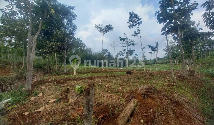 Prime Flood-Free Land in Malangbong Garut