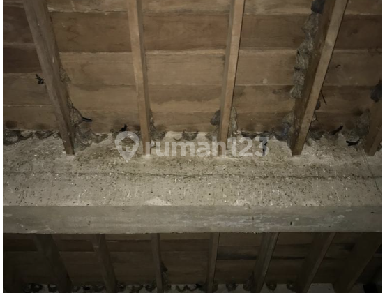 Jual/Sewa/Kerjasama Strategis Rumah Walet Konstruksi Beton + Kayu Jati di Tepi Jalan Raya Bangilan, Tuban, Jawa Timur Jual/Sewa/Kerjasama Strategis Rumah Walet Konstruksi Beton + Kayu Jati di Tepi Jalan Raya Bangilan, Tuban, Jawa Timur