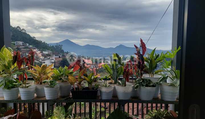 Rumah Luas Eksklusif Sangat Murah di Lembang View Gunung Putri 2