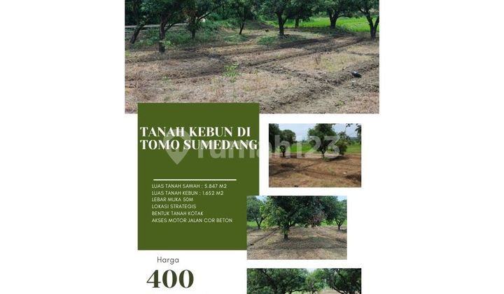 Tanah kebun produktif di tomo sumedang lokasi strategis