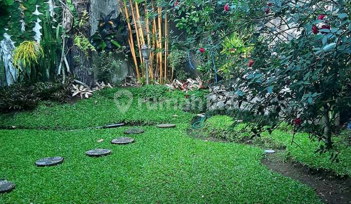 Downslope-Style Luxury Home with Private Forest - Dago Resort 2