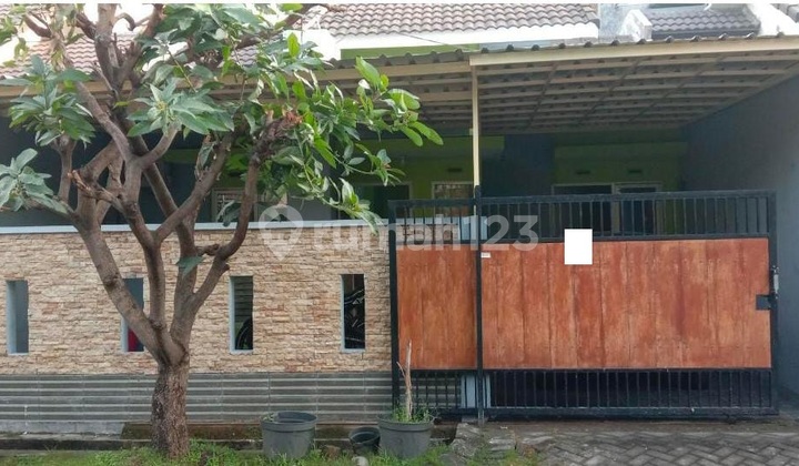 Rumah Siap Huni 1 Lantai di Jaya Maspion Permata Sidoarjo