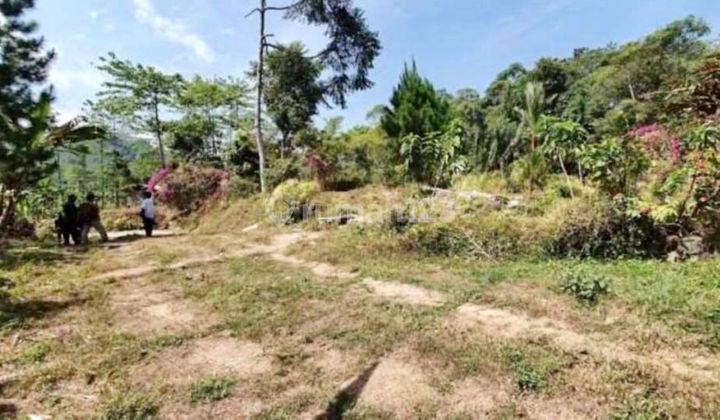 Murah Tanah Di Ciawi Bogor - LT: 11.875 m2, 1,5 Juta / m2, Ciawi, Bogor 5